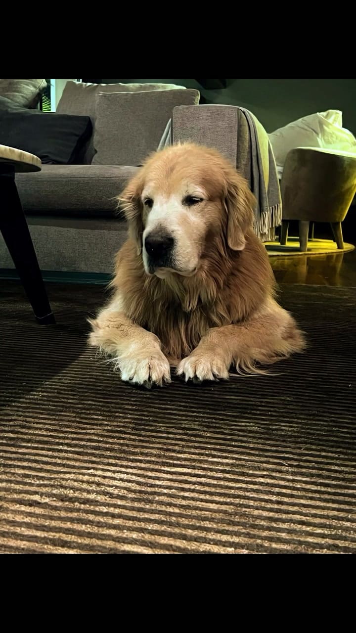 Despedida de Nacho Viale de Ayrton1