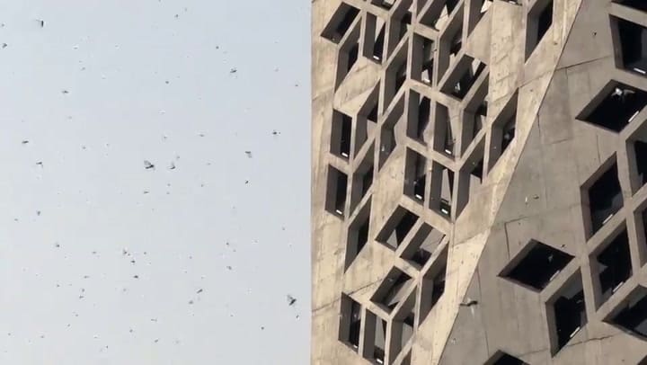 Ssstwitter.com 1722653661988