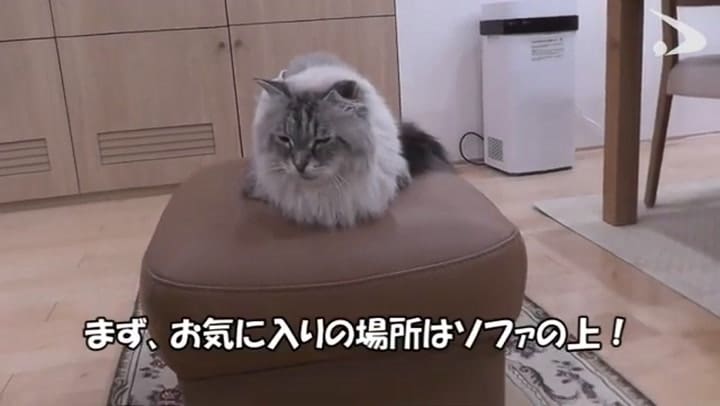 Este es el último video de Mir con vida