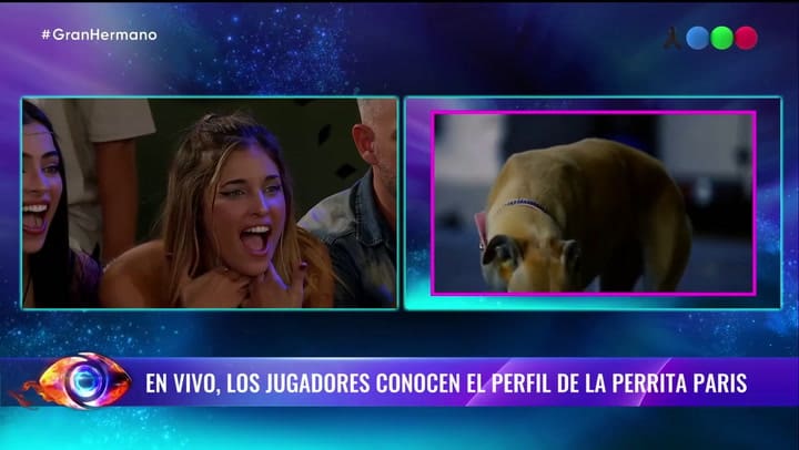 Los jugadores de Gran Hermano conocen a Paris