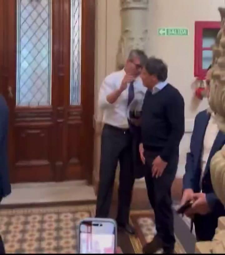 El supuesto cruce entre Facundo Manes y Martín Menem