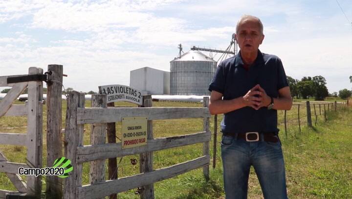 Automatización en la industria agroalimentaria