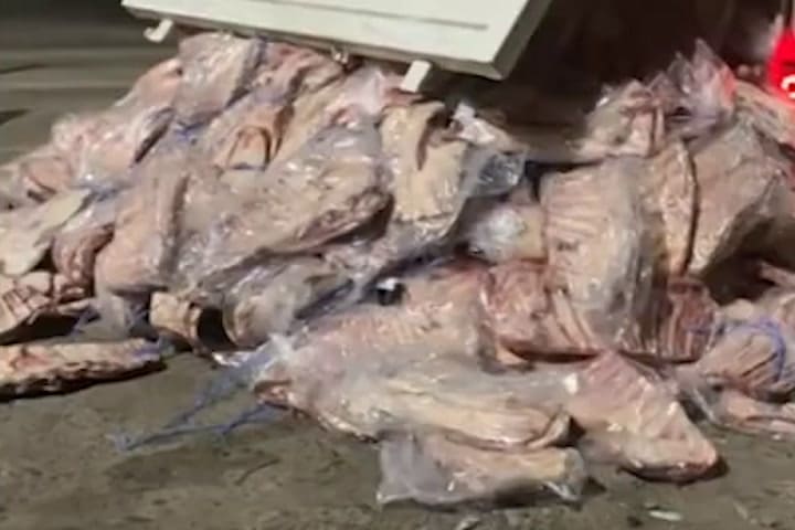 (GIF) Llevaban carne en un camión volcador