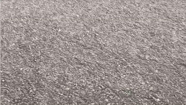 El mar de pómez que encontraron Shannon Lenz and Tom Whitehead en agosto - Fuente: BBC