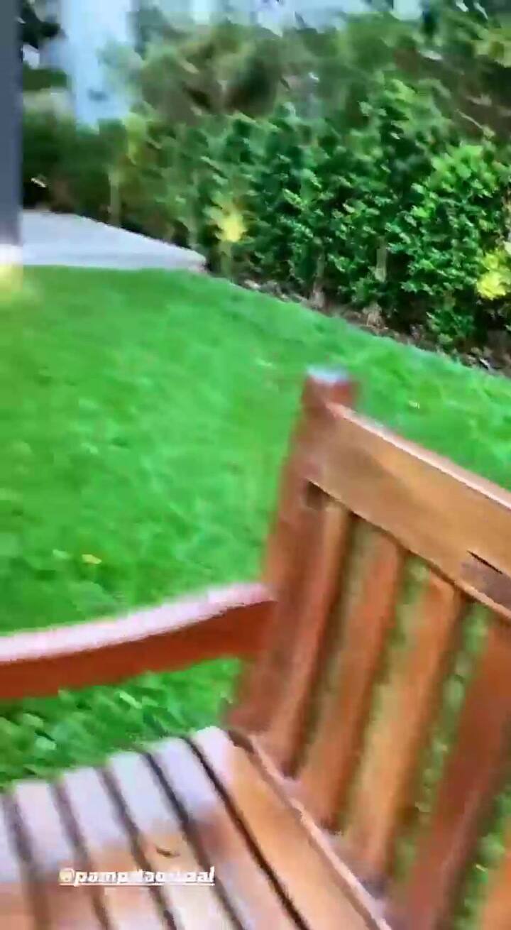 PAMPITA MOSTRÓ SU JARDIN