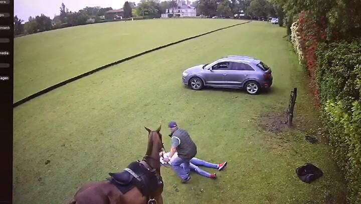 Susto en Tortugas tras la impresionante patada de un caballo a un hombre