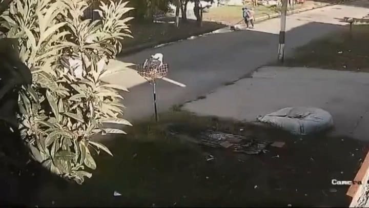 Tragedia en La Plata: un camión de basura dio marcha atrás y mató a una barrendera