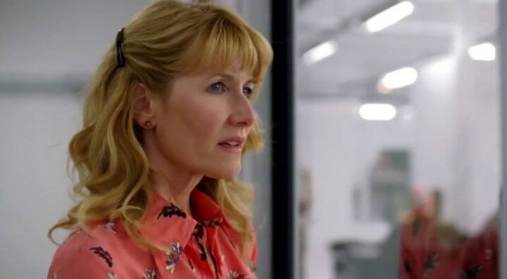 Laura Dern, inolvidable en Enlightened