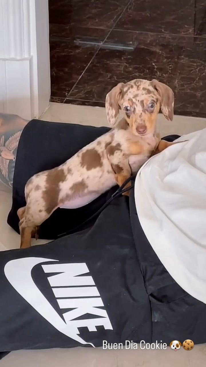 Aqn-2bxjxzsbwz8d6vvi 1vqo9gmojrz Aohmt3my-fsfjethbfngxdbyek6y Muaqunytp-tgrz9iwo4iee0evo