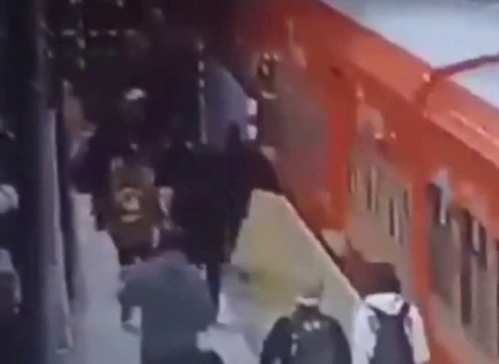 Una mujer cayó del tren en movimiento tras perseguir a un hombre que le robó su celular