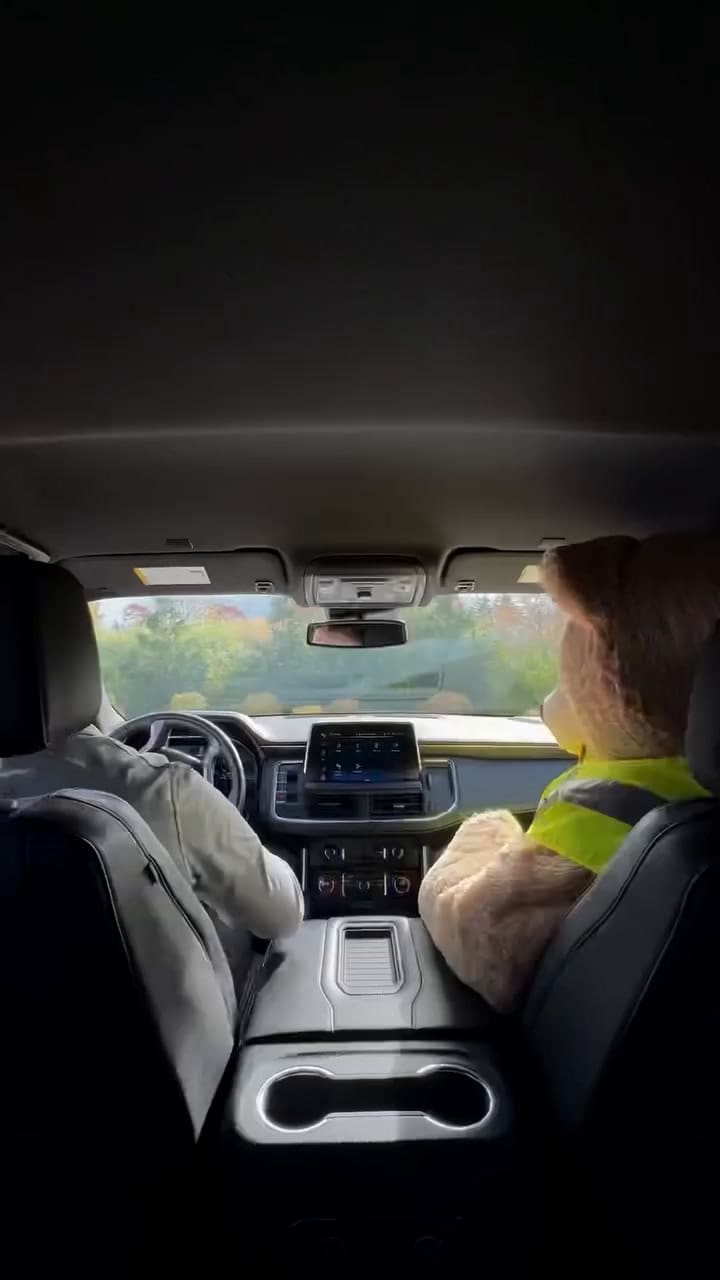 Costco publicó un video que enseña como es el proceso de lavado de autos en sus tiendas