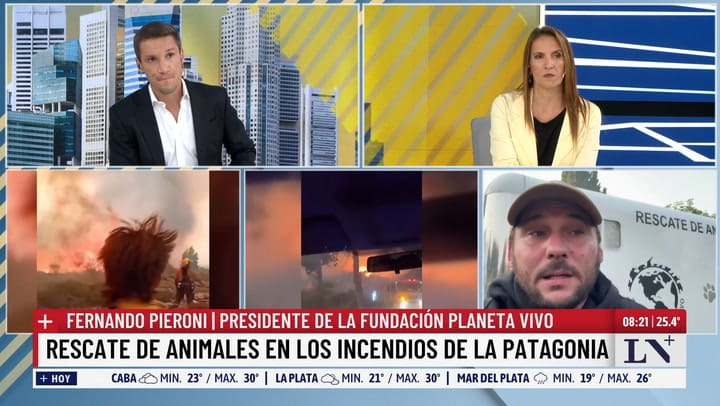 El drama de los animales en los incendios