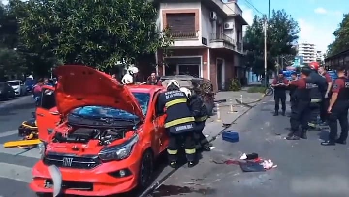 Allanamiento Por Armas Y Criadero De Perros
