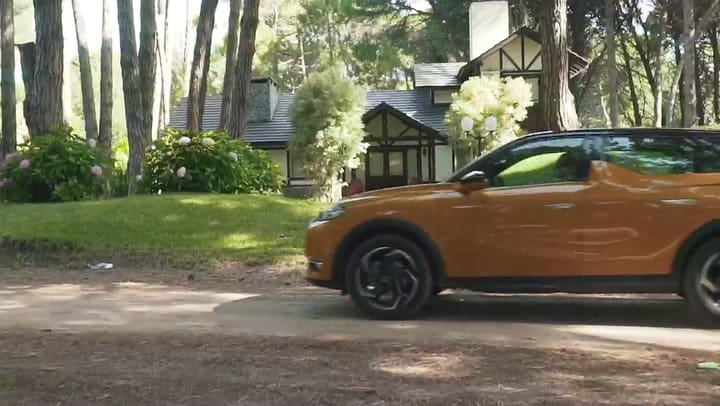 LN-DS-Horizontal-v3ALTA