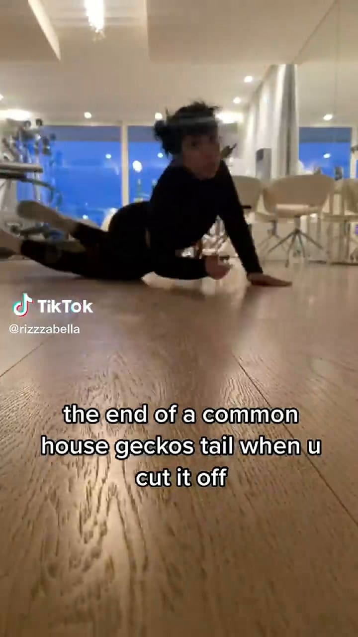 Isabella Merebak, la sobrina de Shakira en TikToK