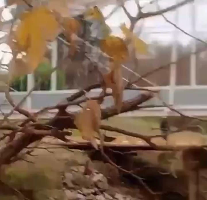 Auto cayo en Río Tercero