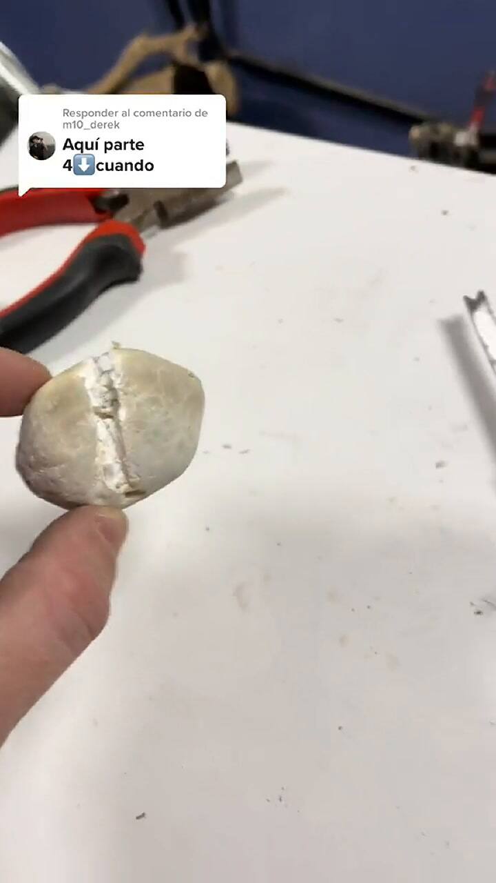 La cuarta parte del extraño descubrimiento viral