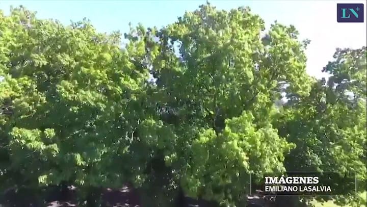 Así se prepara el Hipódromo para el Lollapalooza, desde el drone de LN