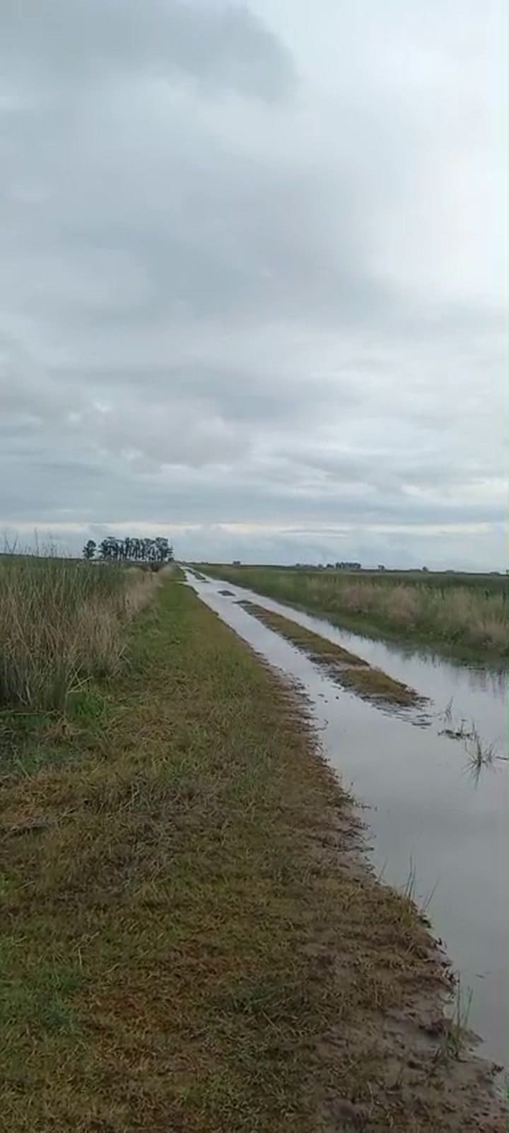 Las inundaciones en Ordoqui, Carlos Casares