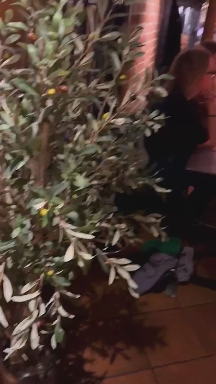 Luisana Lopilato compartió una recopilación de su viaje familiar a Oslo, Noruega