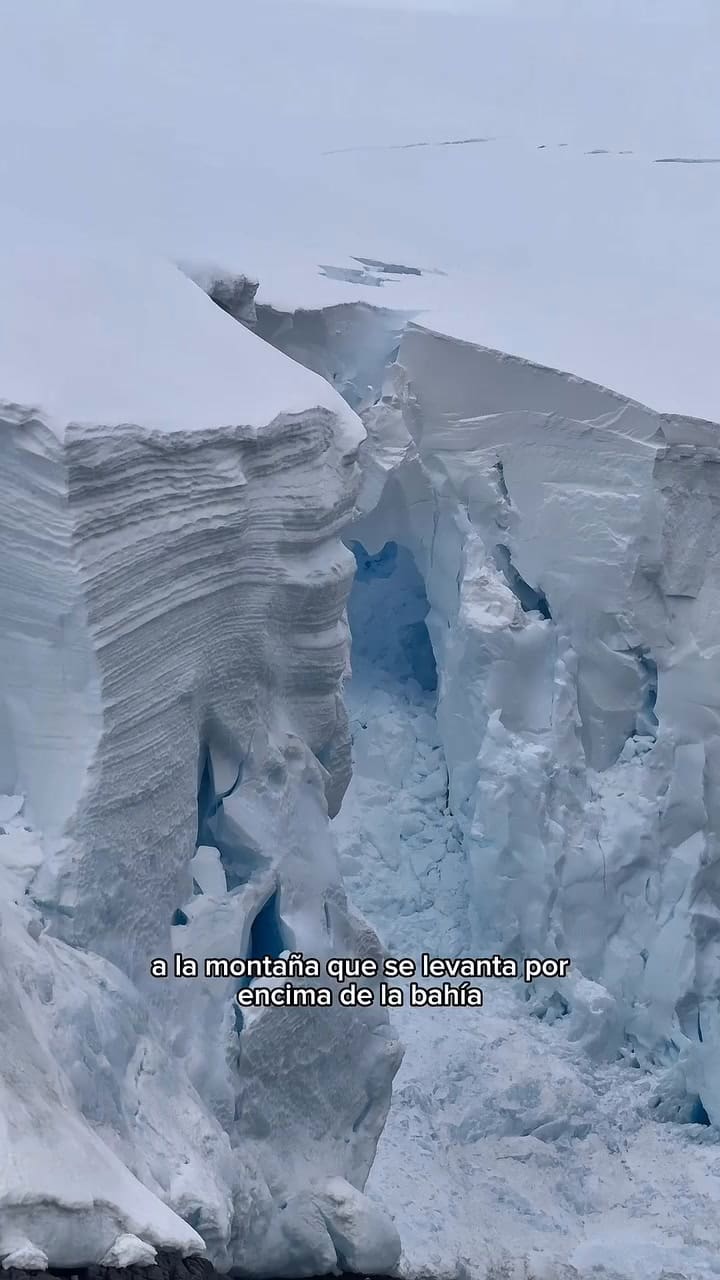 El increíble viaje de Marko por la Antártida