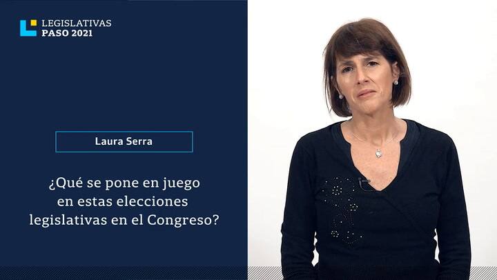 ¿Qué se pone en juego en estas elecciones legislativas en el Congreso?