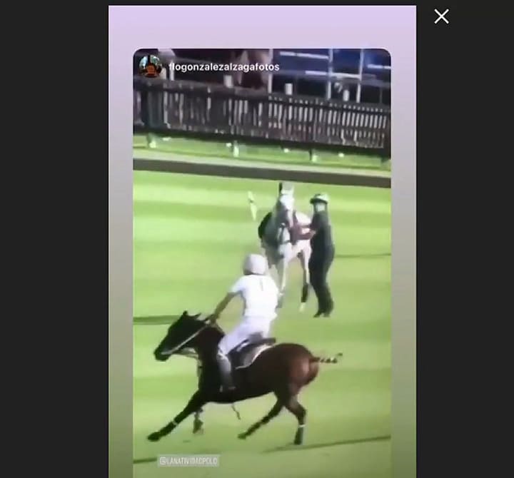 El gol de oro de Les Líons