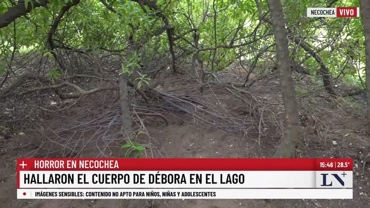 La perfiladora criminal Constanza Lamarque en dialogo con LN+