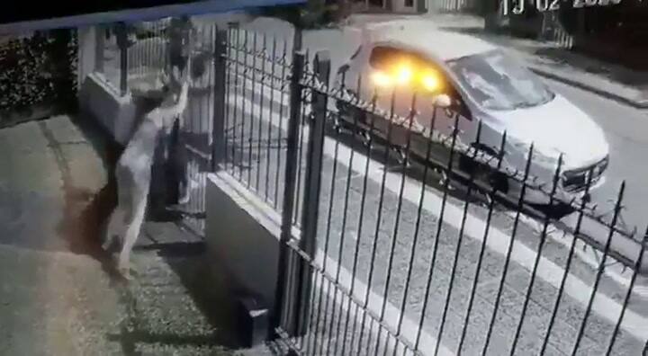 Violento intento de robo en Isidro Casanova - Fuente: @anabeliacerezo