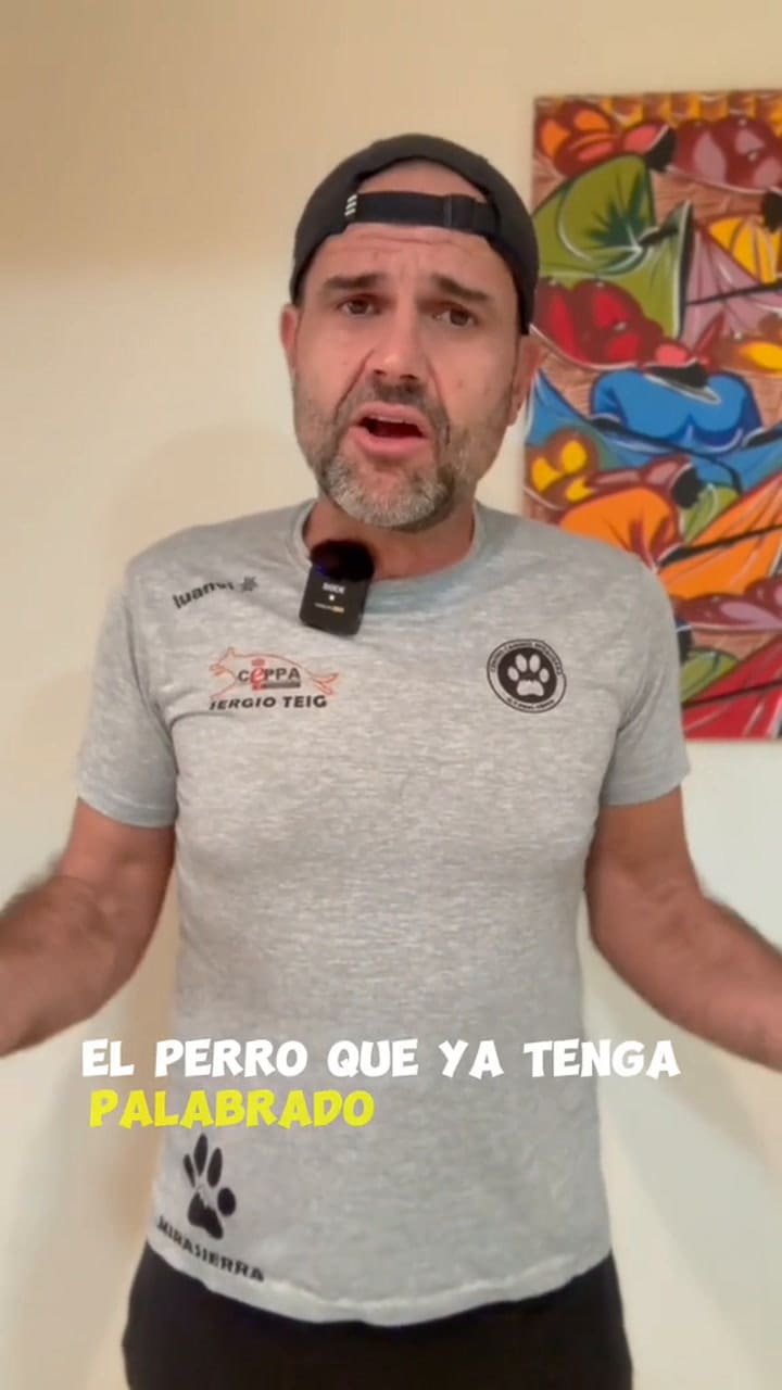 El experto explicó qué hay que hacer con la llegada de un cachorro