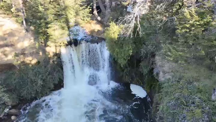 Whatsapp Video 2024-10-21 At 14.46.47