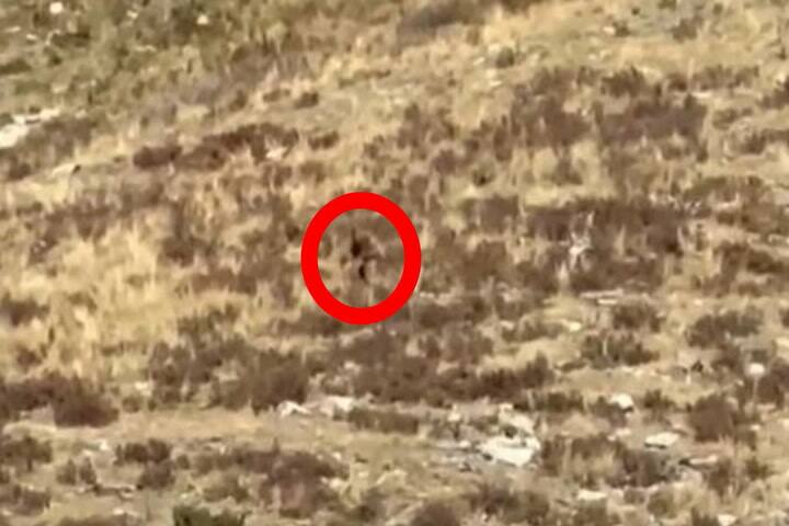 Un nuevo video de pie grande salió a la luz y hay una hipótesis detrás