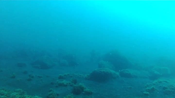 El misterioso cementerio submarino en la isla de La Palma.