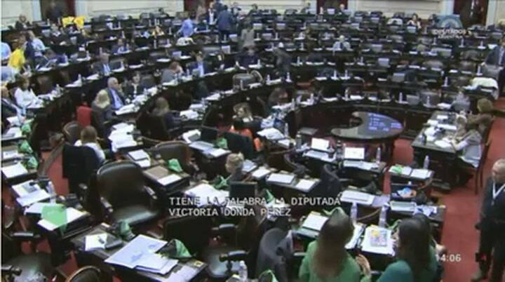 Debate por el aborto: la palabra de Victoria Donda - Fuente: HCDN