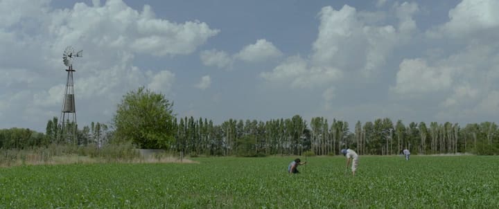 Trailer de Hombres de piel dura - Fuente: YouTube