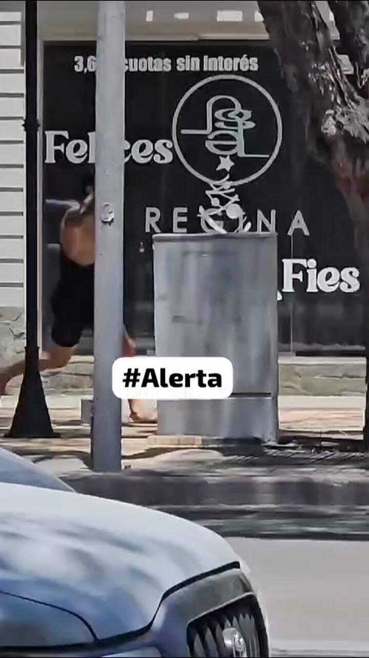 Whatsapp-video-2024-12-05-at-20.01.26