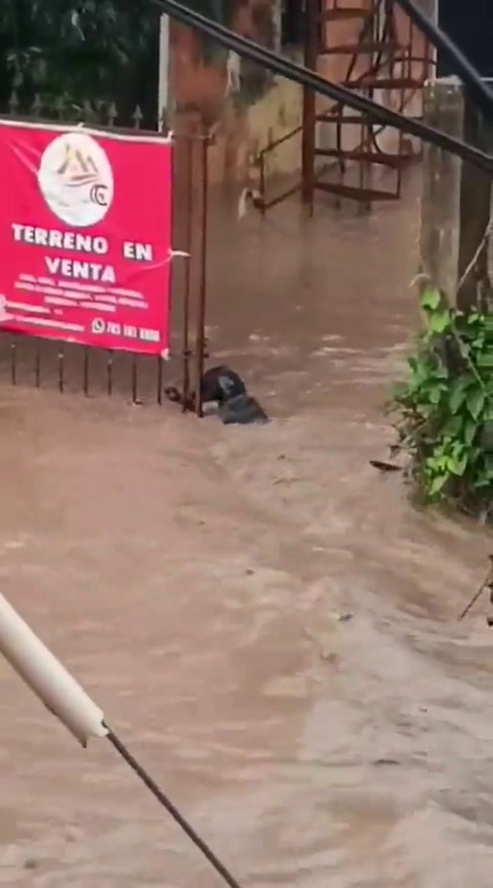 Ssstwitter.com 1760209612265