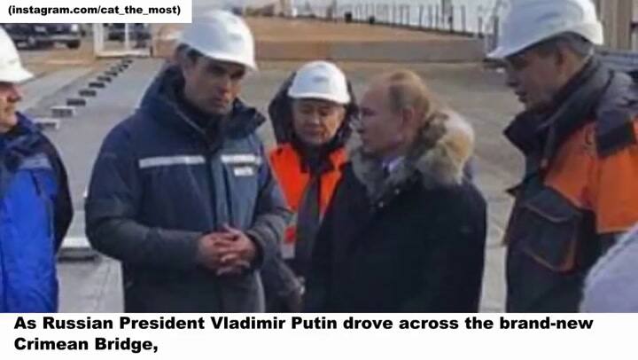 El gato que se convirtió en el símbolo del orgullo ruso - Fuente: YouTube