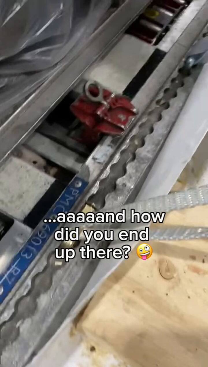 Cargopilot747 7394895993524735264