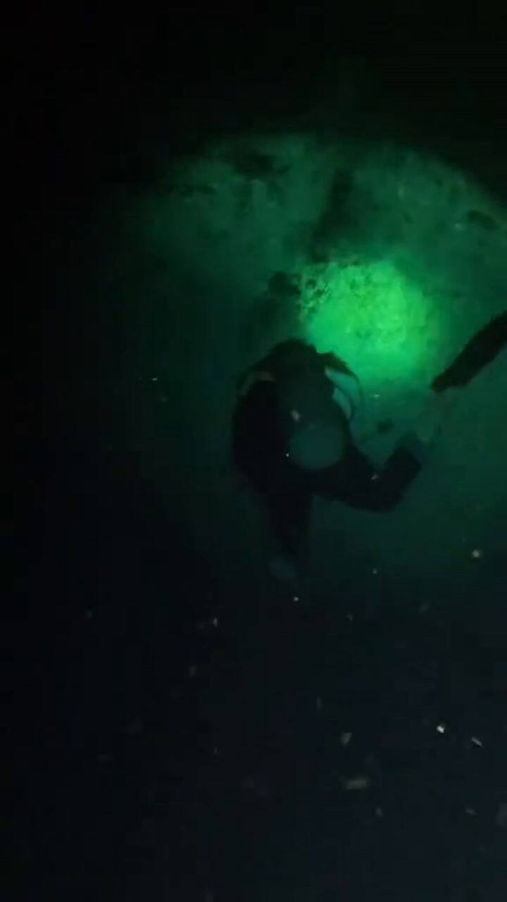 Muriel Oddenino durante una expedición de buceo