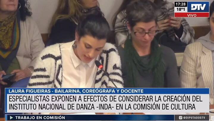 La Comisión de Cultura inició con expositores el debate sobre una ley nacional de danza.