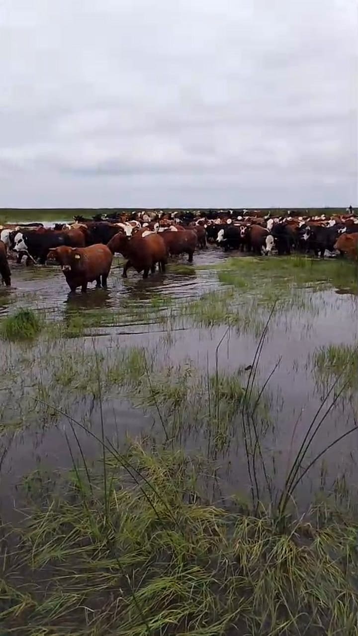 Inundaciones en Santa Fe