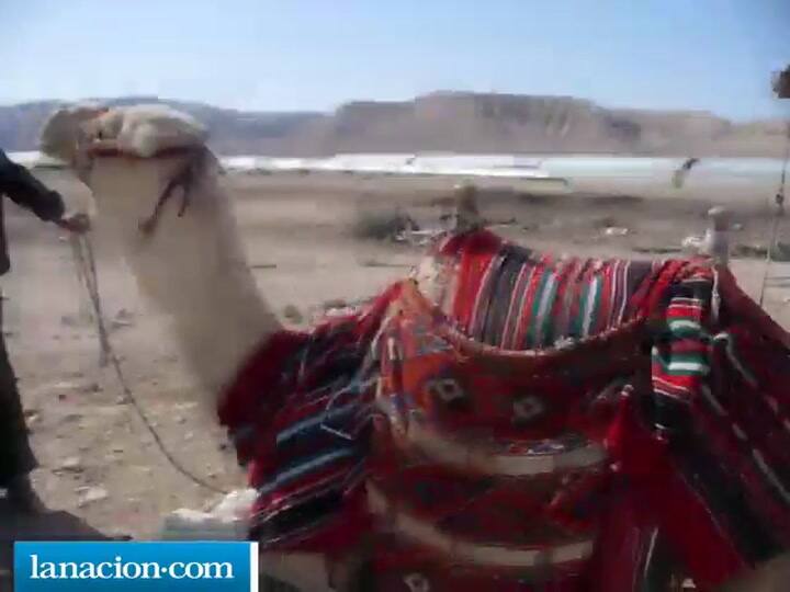 El backstage de Fuerza Bruta en Tel Aviv