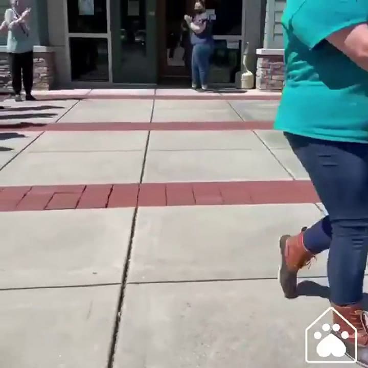 Tras pasar 11 meses en un refugio de animales, un perro es ovacionado cuando lo adoptan