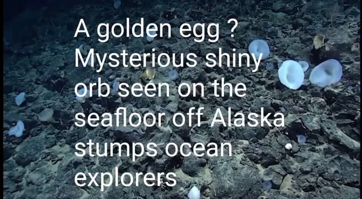 Un extraño globo dorado apareció en el fondo del mar en una exploración submarina