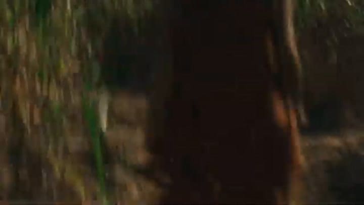 El castillo de arena, tráiler oficial