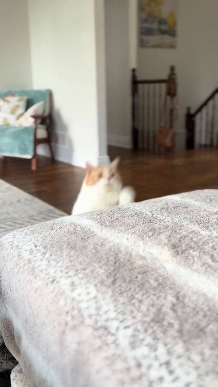 El progreso de Biggie Smalls al bajar de peso