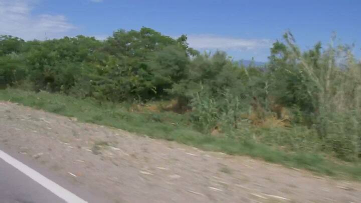 Informe mulas - parte dos