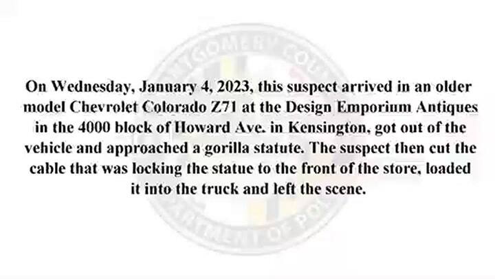 El departamento de policía de Montgomery reveló las imágenes del robo del gorila
