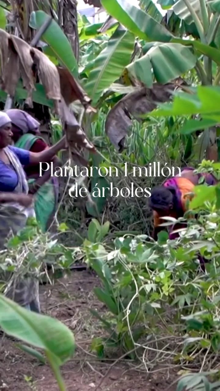 @GrupoOrve 7183125328116665605-no-watermark